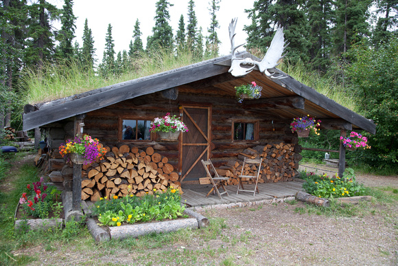 Tlingit Indian cabin