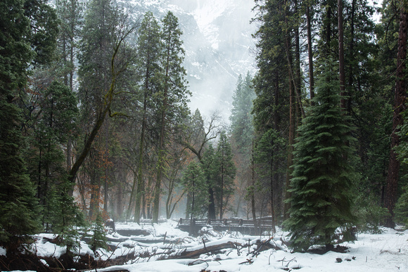 Yosemite Creek, Winter