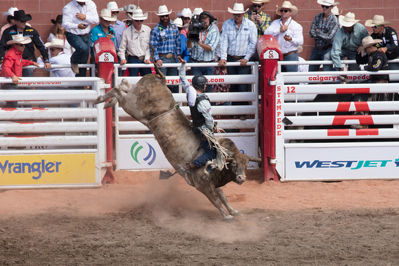 Bull Riding at the Stampede