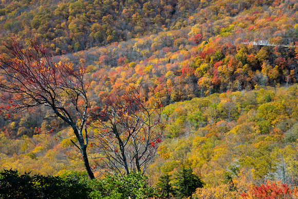 Blue Ridge Mountains, Fall