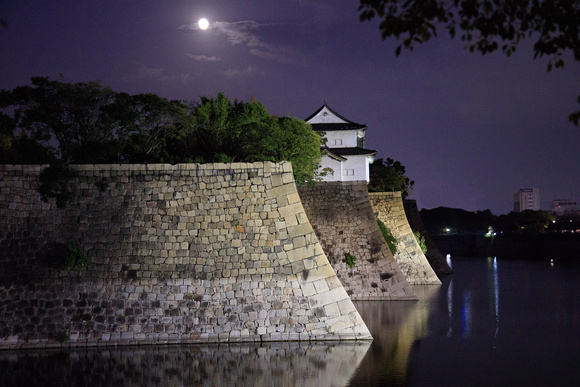 Osaka Castle at Night