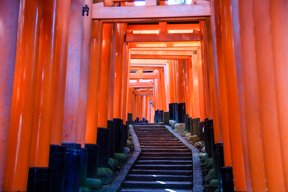 Fushimi Inari Shrine - Ascent