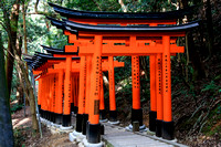 Fushimi Inari Shrine Path