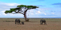 Trekking to Water